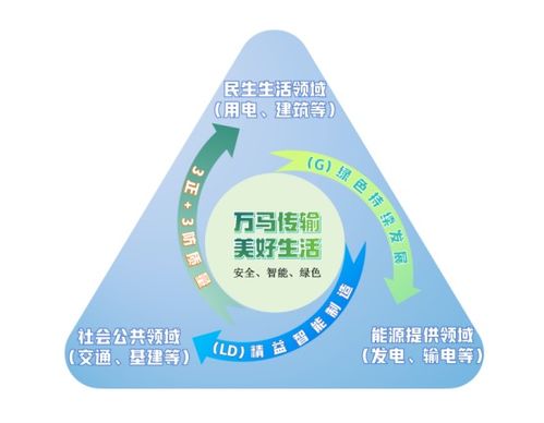 以质取胜，引领标杆 我区某企业质量管理能力“出圈”的深层剖析